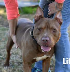 Photo of Little John