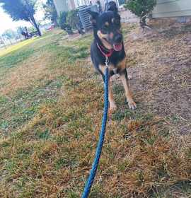 Photo of SARA FOSTER