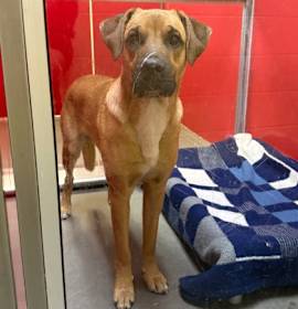 Photo of Bruce Barksteen