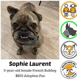 Photo of Sophie Laurent