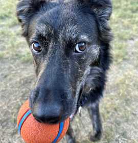 Photo of Agatha All-a Long Legs