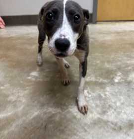 Photo of Simone - 071205T