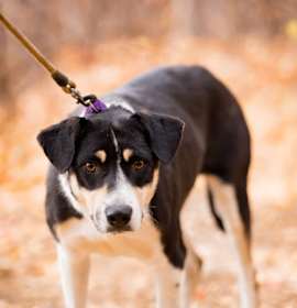 Photo of Della Rumbler