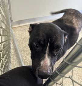 Photo of Ms. Peanut Butter