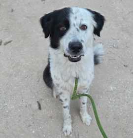 Photo of Eclipse JuM