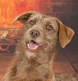 Photo of Phoebe Buffay