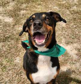 Photo of Fury JuM aka Rocky