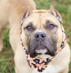 Photo of Captain Crawly