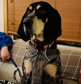 Photo of Delilah Rose