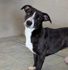 Photo of Mrs. Frida Gingerbread