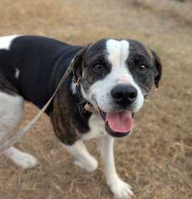 Photo of This is Sparta!