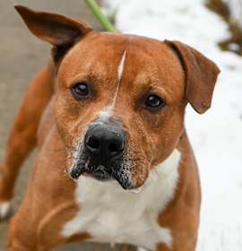 Photo of Parker James