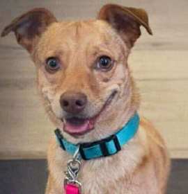 Photo of Trent Tonatiuh