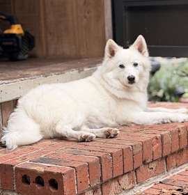 Photo of Princess of Lake City Fl