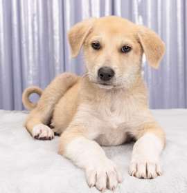 Photo of Xmas: Frosty