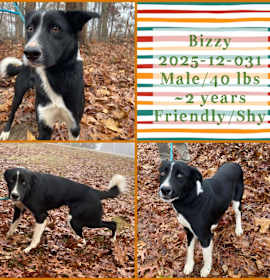 Photo of 2024-04-120 *Oero*