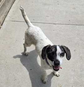 Photo of Sammie Bubbles