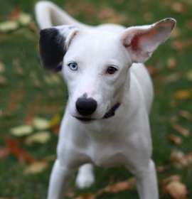 Photo of Stella Jane