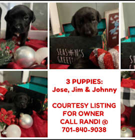 Photo of Jim, Jose & Johnny - COURTESY