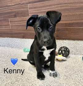 Photo of Dar’s Kenny