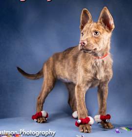 Photo of Bright Eyes