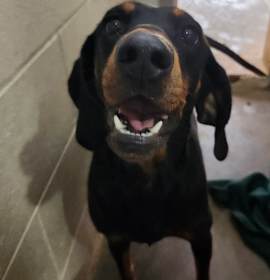 Photo of Sugar meet me 12/13