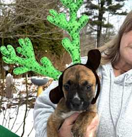 Photo of NY Merida Dec 13 Tractor Sup