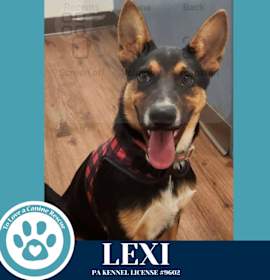 Photo of Lexi 120625