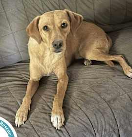 Photo of Britt 120625