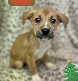 Photo of Felicity meet me 12/20