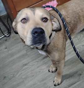 Photo of Benee @ Foster