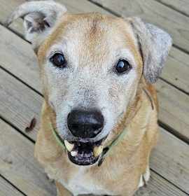 Photo of Max Hip *LOCAL*