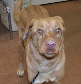 Photo of 91843 Bella