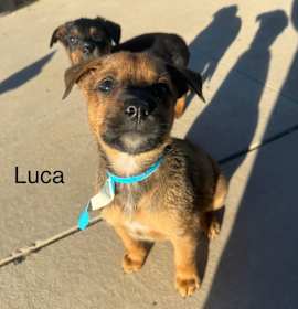 Photo of Luca