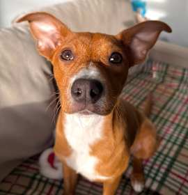 Photo of Fire D66945