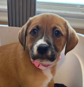 Photo of Charlie Mae