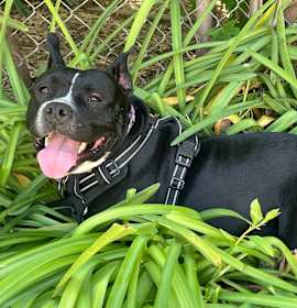 Photo of Sister Girl