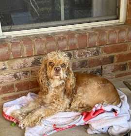 Photo of Little Lady