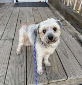 Photo of Honey BooBoo