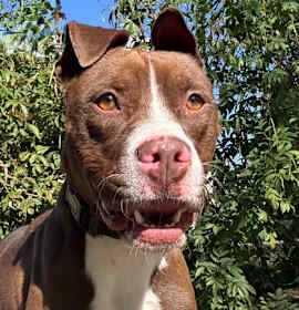 Photo of Lucky Stars