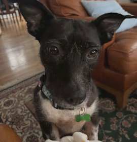 Photo of Ellie Grace