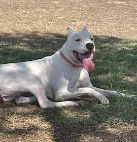 Photo of Empress Sasha LUX