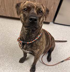 Photo of Mumsy(2503399)