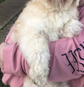 Photo of Chico Hadley