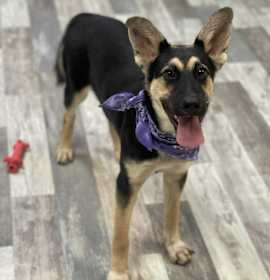 Photo of Angelina JuM