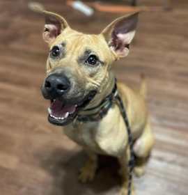 Photo of Chook AKA Chaz JuM