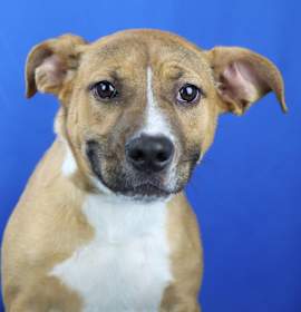 Photo of Rayne - 100401T