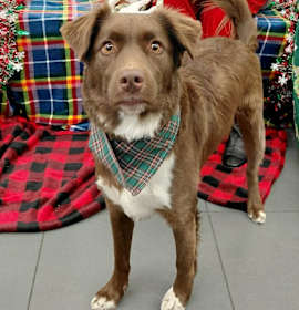 Photo of Milkyway aka Zeke CS