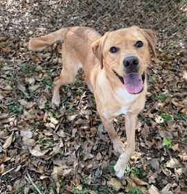 Photo of Fleece Blanket