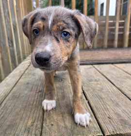 Photo of Mike Wazowski